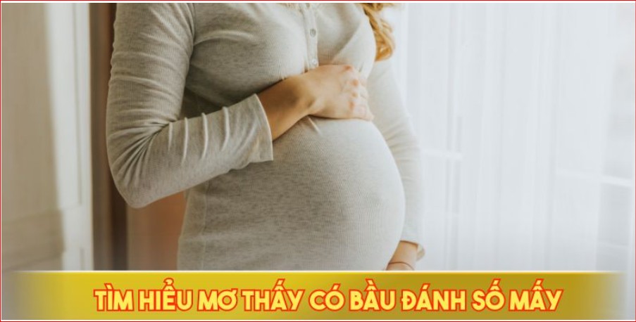 Tìm hiểu mơ thấy có bầu đánh số mấy