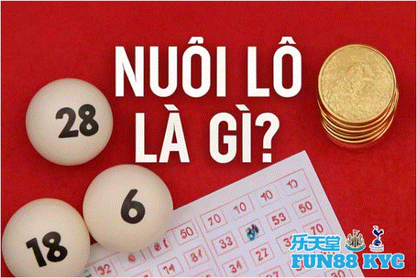 Nuôi lô là gì?